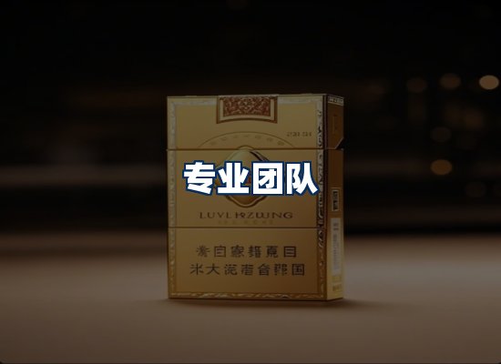 专业团队